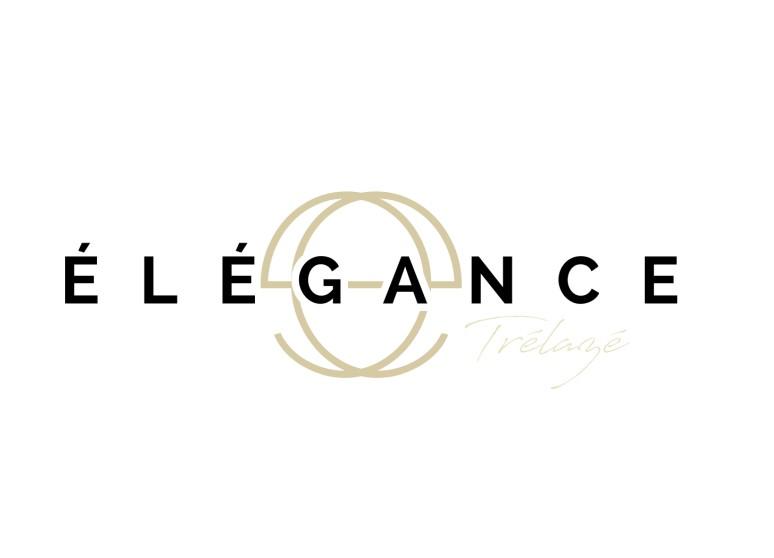 Logo elegance pour site
